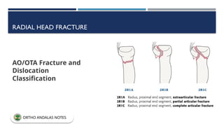 RADIAL HEAD FRACTURE
AO/OTA Fracture and
Dislocation
Classification
ORTHO ANDALAS NOTES
 