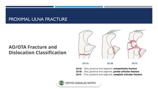 PROXIMAL ULNA FRACTURE
AO/OTA Fracture and
Dislocation Classification
ORTHO ANDALAS NOTES
 