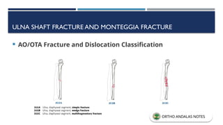 ULNA SHAFT FRACTURE AND MONTEGGIA FRACTURE
 AO/OTA Fracture and Dislocation Classification
ORTHO ANDALAS NOTES
 