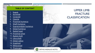 UPPER LIMB
FRACTURE
CLASSIFICATION
ORTHO ANDALAS NOTES
1. Scapula
2. Acromial
3. Coracoid
4. Clavicle
5. Proximal humerus
6. Shaft humerus
7. Supracondylar humerus
8. Distal humerus
9. Radial head
10. Proximal ulnar
11. Radial shaft
12. Ulna shaft
13. Distal radius
14. Scaphoid
15. Metacarpal
16. Phalanges
TABLE OF CONTENT
 
