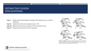 DISTRACTIVE FLEXION
(DISLOCATIONS)
ORTHO ANDALAS NOTES
 