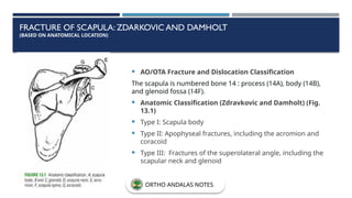 FRACTURE OF SCAPULA: ZDARKOVIC AND DAMHOLT
(BASED ON ANATOMICAL LOCATION)
 AO/OTA Fracture and Dislocation Classification
The scapula is numbered bone 14 : process (14A), body (14B),
and glenoid fossa (14F).
 Anatomic Classification (Zdravkovic and Damholt) (Fig.
13.1)
 Type I: Scapula body
 Type II: Apophyseal fractures, including the acromion and
coracoid
 Type III: Fractures of the superolateral angle, including the
scapular neck and glenoid
ORTHO ANDALAS NOTES
 