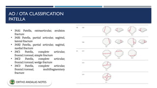 AO / OTA CLASSIFICATION
PATELLA
• 34A1 Patella, extraarticular, avulsion
fracture
• 34B1 Patella, partial articular, sagittal,
lateral fracture
• 34B2 Patella, partial articular, sagittal,
medial fracture
• 34C1 Patella, complete articular,
frontal/coronal, simple fracture
• 34C2 Patella, complete articular,
frontal/coronal, wedge fracture
• 34C3 Patella, complete articular,
frontal/coronal, multifragmentary
fracture
ORTHO ANDALAS NOTES
 