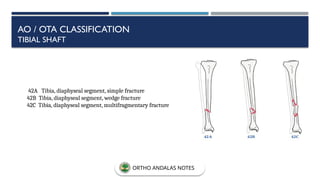 42A Tibia, diaphyseal segment, simple fracture
42B Tibia, diaphyseal segment, wedge fracture
42C Tibia, diaphyseal segment, multifragmentary fracture
AO / OTA CLASSIFICATION
TIBIAL SHAFT
ORTHO ANDALAS NOTES
 