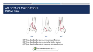 43A Tibia, distal end segment, extraarticular fracture
43B Tibia, distal end segment, partial articular fracture
43C Tibia, distal end segment, complete articular fracture
AO / OTA CLASSIFICATION
DISTAL TIBIA
ORTHO ANDALAS NOTES
 