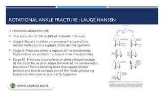 ROTATIONAL ANKLE FRACTURE : LAUGE HANSEN
3. Pronation–Abduction (PA)
 This accounts for 5% to 20% of malleolar fractures.
 Stage I: Results in either a transverse fracture of the
medial malleolus or a rupture of the deltoid ligament
 Stage II: Produces either a rupture of the syndesmotic
ligaments or an avulsion fracture at their insertion sites
 Stage III: Produces a transverse or short oblique fracture
of the distal fibula at or above the level of the syndesmosis;
this results from a bending force that causes medial
tension and lateral compression of the fibula, producing
lateral comminution or a butterfly fragment
ORTHO ANDALAS NOTES
 