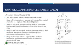 ROTATIONAL ANKLE FRACTURE : LAUGE HANSEN
4. Pronation–External Rotation (PER)
 This accounts for 5% to 20% of malleolus fractures.
 Stage I: Produces either a transverse fracture of the medial
malleolus or a rupture of the deltoid ligament
 Stage II: Results in disruption of the anterior tibiofibular
ligament with or without avulsion fracture at its insertion
sites
 Stage III: Results in a spiral fracture of the distal fibula at or
above the level of the syndesmosis running from
anterosuperior to posteroinferior
 Stage IV: Produces either a rupture of the posterior
tibiofibular ligament or an avulsion fracture of the
posterolateral tibia
ORTHO ANDALAS NOTES
 