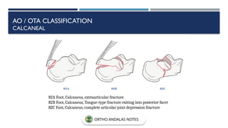 82A Foot, Calcaneus, extraarticular fracture
82B Foot, Calcaneus, Tongue-type fracture exiting into posterior facet
82C Foot, Calcaneus, complete articular joint depression fracture
AO / OTA CLASSIFICATION
CALCANEAL
ORTHO ANDALAS NOTES
 