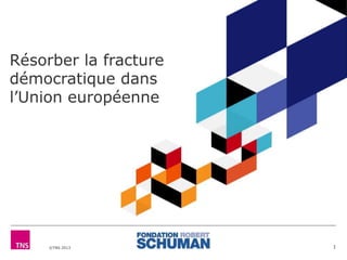 Résorber la fracture 
démocratique dans 
l’Union européenne 
©TNS 2013 
1 
 