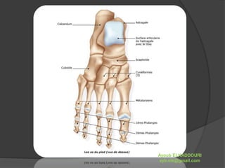 Ayoub ELKADDOURI 
ayb.elk@gmail.com 
 