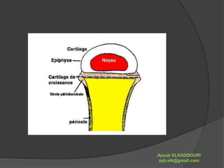 Ayoub ELKADDOURI 
ayb.elk@gmail.com 
 