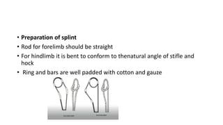 Willow Rods Splints Fracture Fixation Techniques.pptx