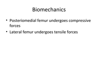 Biomechanics
• Posteriomedial femur undergoes compressive
forces
• Lateral femur undergoes tensile forces
 