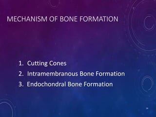 1. Cutting Cones
2. Intramembranous Bone Formation
3. Endochondral Bone Formation
14
MECHANISM OF BONE FORMATION
 