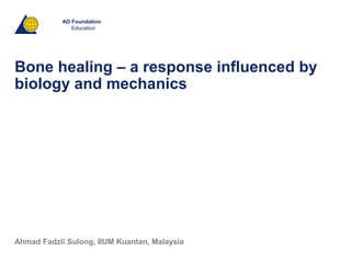 AO Foundation
Education
Ahmad Fadzli Sulong, IIUM Kuantan, Malaysia
Bone healing – a response influenced by
biology and mechanics
 