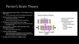 Fracture Healing.pptx