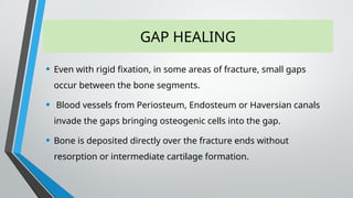GAP HEALING
• Even with rigid fixation, in some areas of fracture, small gaps
occur between the bone segments.
• Blood vessels from Periosteum, Endosteum or Haversian canals
invade the gaps bringing osteogenic cells into the gap.
• Bone is deposited directly over the fracture ends without
resorption or intermediate cartilage formation.
 