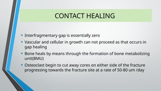 CONTACT HEALING
• Interfragmentary gap is essentially zero
• Vascular and cellular in growth can not proceed as that occurs in
gap healing
• Bone heals by means through the formation of bone metabolizing
unit(BMU)
• Osteoclast begin to cut away cores on either side of the fracture
progressing towards the fracture site at a rate of 50-80 um /day
 