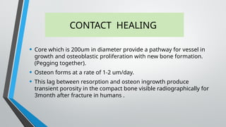 CONTACT HEALING
• Core which is 200um in diameter provide a pathway for vessel in
growth and osteoblastic proliferation with new bone formation.
(Pegging together).
• Osteon forms at a rate of 1-2 um/day.
• This lag between resorption and osteon ingrowth produce
transient porosity in the compact bone visible radiographically for
3month after fracture in humans .
 