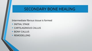 SECONDARY BONE HEALING
Intermediate fibrous tissue is formed
• INITIAL STAGE
• CARTILAGINOUS CALLUS
• BONY CALLUS
• REMODELLING
 
