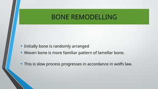 BONE REMODELLING
• Initially bone is randomly arranged
• Woven bone is more familiar pattern of lamellar bone.
• This is slow process progresses in accordance in wolfs law.
 