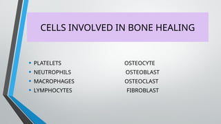 CELLS INVOLVED IN BONE HEALING
• PLATELETS OSTEOCYTE
• NEUTROPHILS OSTEOBLAST
• MACROPHAGES OSTEOCLAST
• LYMPHOCYTES FIBROBLAST
 