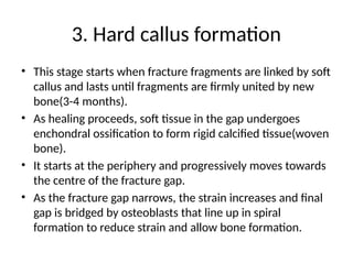 Initial Callus Formation healing of fracture in adult bone and complications | PPTX