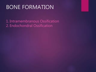 BONE FORMATION
1. Intramembranous Ossification
2. Endochondral Ossification
 