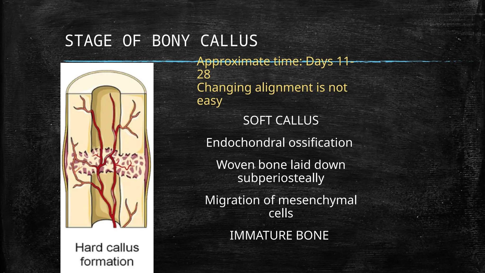 Initial Callus Formation Fracture healing stages and complications | PPTX