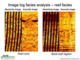 Carbonate heterolithic classification/20
Resistivity Image Resistivity Image
Acoustic Image Acoustic Image
Resistivity Image Resistivity Image
Acoustic Image Acoustic Image
Reef core Back-reef lagoon
Image log facies analysis – reef facies
 