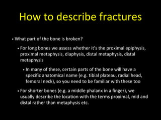 How to describe fractures
• What part of the bone is broken?
• For long bones we assess whether it’s the proximal epiphysis,
proximal metaphysis, diaphysis, distal metaphysis, distal
metaphysis
• In many of these, certain parts of the bone will have a
specific anatomical name (e.g. tibial plateau, radial head,
femoral neck), so you need to be familiar with these too
• For shorter bones (e.g. a middle phalanx in a finger), we
usually describe the location with the terms proximal, mid and
distal rather than metaphysis etc.
 