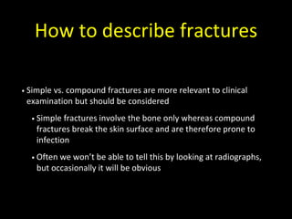 How to describe fractures
• Simple vs. compound fractures are more relevant to clinical
examination but should be considered
• Simple fractures involve the bone only whereas compound
fractures break the skin surface and are therefore prone to
infection
• Often we won’t be able to tell this by looking at radiographs,
but occasionally it will be obvious
 