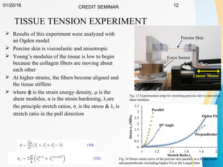 01/20/16 CREDIT SEMINAR 12
TISSUE TENSION EXPERIMENT
 Results of this experiment were analyzed with
an Ogden model
 Porcine skin is viscoelastic and anisotropic
 Young’s modulus of the tissue is low to begin
because the collagen fibers are moving about
each other
 At higher strains, the fibers become aligned and
the tissue stiffens
 where is the strain energy density, μ is theϕ
shear modulus, α is the strain hardening, λiare
the principle stretch ratios, σz is the stress & λz is
stretch ratio in the pull direction
Fig. 13 Experimental setup for stretching porcine skin to determine
shear modulus
Fig. 14 Stress–strain curve of the porcine skin parallel, at a 45 deg angle,
and perpendicular (including Ogden Fit) to the Langer lines
 