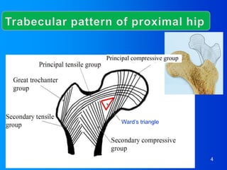 4/17/2014 4
Principal compressive group
Ward’s triangle
 