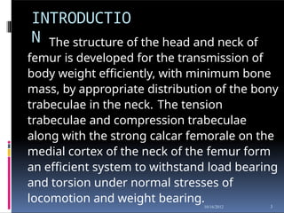 INTRODUCTIO
N
3
10/16/2012
The structure of the head and neck of
femur is developed for the transmission of
body weight efficiently, with minimum bone
mass, by appropriate distribution of the bony
trabeculae in the neck. The tension
trabeculae and compression trabeculae
along with the strong calcar femorale on the
medial cortex of the neck of the femur form
an efficient system to withstand load bearing
and torsion under normal stresses of
locomotion and weight bearing.
 