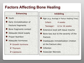 Factors Affecting Bone Healing
Enhancing
Youth
Early Immobilization of
fracture fragments
Bone fragments contact
Adequate blood supply
Proper Nutrition
Adequate hormones
Growth hormone
Thyroxin
Calcitonin
Inhibiting
Age (e.g. Average # Femur Healing Time)
Infant: 4 weeks
Teenager: 12 to 16 weeks
Extensive local soft tissue trauma
Bone loss due to the severity of the
fracture
Inadequate immobilization (motion
at the fracture site)
Infection
Avascular Necrosis
 