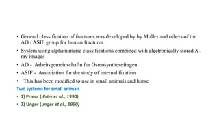 FRACTURE PPT.pptx