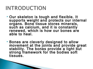  Our skeleton is tough and flexible. It
supports weight and protects our internal
organs. Bone tissue stores minerals,
such as calcium, and it is constantly
renewed, which is how our bones are
able to heal.
 Bones are cleverly designed to allow
movement at the joints and provide great
stability. The bones provide a light but
strong framework for the bodies soft
tissues.
 