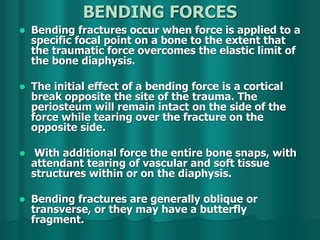 BENDING FORCES
 Bending fractures occur when force is applied to a
specific focal point on a bone to the extent that
the traumatic force overcomes the elastic limit of
the bone diaphysis.
 The initial effect of a bending force is a cortical
break opposite the site of the trauma. The
periosteum will remain intact on the side of the
force while tearing over the fracture on the
opposite side.
 With additional force the entire bone snaps, with
attendant tearing of vascular and soft tissue
structures within or on the diaphysis.
 Bending fractures are generally oblique or
transverse, or they may have a butterfly
fragment.
 