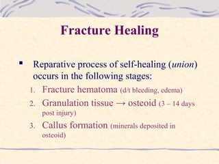 Fracture Healing
 Reparative process of self-healing (union)
occurs in the following stages:
1. Fracture hematoma (d/t bleeding, edema)
2. Granulation tissue → osteoid (3 – 14 days
post injury)
3. Callus formation (minerals deposited in
osteoid)
 