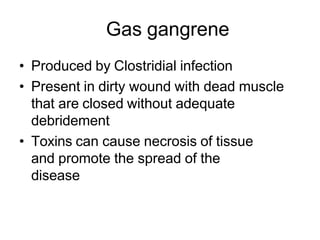 Gas gangrene
• Produced by Clostridial infection
• Present in dirty wound with dead muscle
that are closed without adequate
debridement
• Toxins can cause necrosis of tissue
and promote the spread of the
disease
 