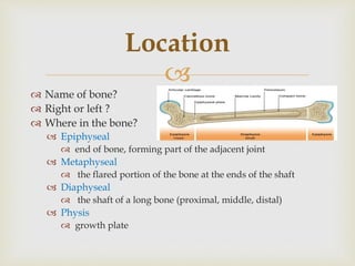 
 Name of bone?
 Right or left ?
 Where in the bone?
 Epiphyseal
 end of bone, forming part of the adjacent joint
 Metaphyseal
 the flared portion of the bone at the ends of the shaft
 Diaphyseal
 the shaft of a long bone (proximal, middle, distal)
 Physis
 growth plate
Location
 