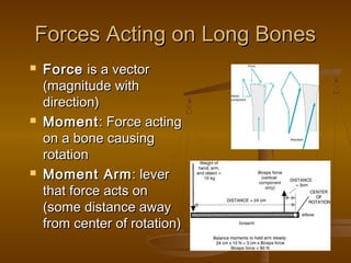 Forces Acting on Long BonesForces Acting on Long Bones
 ForceForce is a vectoris a vector
(magnitude with(magnitude with
direction)direction)
 MomentMoment: Force acting: Force acting
on a bone causingon a bone causing
rotationrotation
 Moment ArmMoment Arm: lever: lever
that force acts onthat force acts on
(some distance away(some distance away
from center of rotation)from center of rotation)
 
