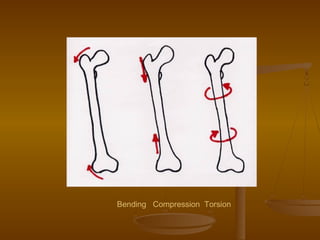 Bending Compression Torsion
 