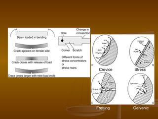 Crevice Stress
Fretting Galvanic
 