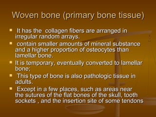 Woven bone (primary bone tissue)Woven bone (primary bone tissue)
   It has the  collagen fibers are arranged inIt has the  collagen fibers are arranged in
irregular random arrays.irregular random arrays.
 contain smaller amounts of mineral substancecontain smaller amounts of mineral substance
and a higher proportion of osteocytes thanand a higher proportion of osteocytes than
lamellar bone.lamellar bone.
 It is temporary, eventually converted to lamellarIt is temporary, eventually converted to lamellar
bone;bone;
 This type of bone is also pathologic tissue inThis type of bone is also pathologic tissue in
adults.adults.
 Except in a few places, such as areas nearExcept in a few places, such as areas near
the sutures of the flat bones of the skull, tooththe sutures of the flat bones of the skull, tooth
sockets , and the insertion site of some tendonssockets , and the insertion site of some tendons
 