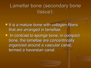 Lamellar bone (secondary boneLamellar bone (secondary bone
tissue):tissue):
 It is a mature bone with collagen fibersIt is a mature bone with collagen fibers
that are arranged in lamellae.that are arranged in lamellae.
 In contrast to sponge bone, in compactIn contrast to sponge bone, in compact
bone, the lamellae are concentricallybone, the lamellae are concentrically
organized around a vascular canal,organized around a vascular canal,
termed a haversian canal.termed a haversian canal.
 
