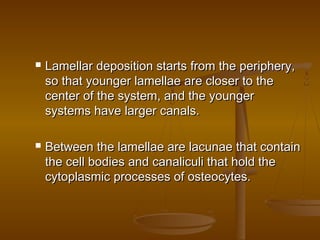  Lamellar deposition starts from the periphery,Lamellar deposition starts from the periphery,
so that younger lamellae are closer to theso that younger lamellae are closer to the
center of the system, and the youngercenter of the system, and the younger
systems have larger canals.systems have larger canals.
 Between the lamellae are lacunae that containBetween the lamellae are lacunae that contain
the cell bodies and canaliculi that hold thethe cell bodies and canaliculi that hold the
cytoplasmic processes of osteocytes.cytoplasmic processes of osteocytes.
 