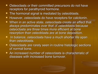  Osteoclasts or their committed precursors do not haveOsteoclasts or their committed precursors do not have
receptors for parathyroid hormone.receptors for parathyroid hormone.
 The hormonal signal is mediated by osteoblasts.The hormonal signal is mediated by osteoblasts.
 However, osteoclasts do have receptors for calcitonin.However, osteoclasts do have receptors for calcitonin.
 When in an active state, osteoclasts create an effect thatWhen in an active state, osteoclasts create an effect that
always predominates over that of osteoblasts becausealways predominates over that of osteoblasts because
osteoclasts are three times more efficient at boneosteoclasts are three times more efficient at bone
resorption than osteoblasts are at bone deposition.resorption than osteoblasts are at bone deposition.
 In balance, osteoclasts have a much shorter life spanIn balance, osteoclasts have a much shorter life span
than osteoblasts.than osteoblasts.
 Osteoclasts are rarely seen in routine histologic sectionsOsteoclasts are rarely seen in routine histologic sections
of normal bone.of normal bone.
 An increased number of osteoclasts is characteristic ofAn increased number of osteoclasts is characteristic of
diseases with increased bone turnover.diseases with increased bone turnover.
 