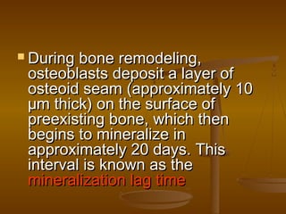  During bone remodeling,During bone remodeling,
osteoblasts deposit a layer ofosteoblasts deposit a layer of
osteoid seam (approximately 10osteoid seam (approximately 10
µm thick) on the surface ofµm thick) on the surface of
preexisting bone, which thenpreexisting bone, which then
begins to mineralize inbegins to mineralize in
approximately 20 days. Thisapproximately 20 days. This
interval is known as theinterval is known as the
mineralization lag timemineralization lag time
 